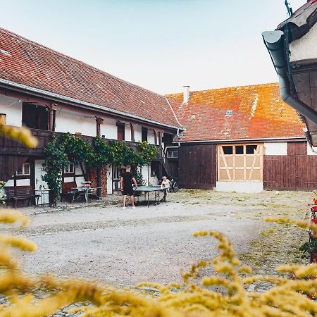 Ferienwohnung Bruehler Hof บาด แบร์คา ภายนอก รูปภาพ